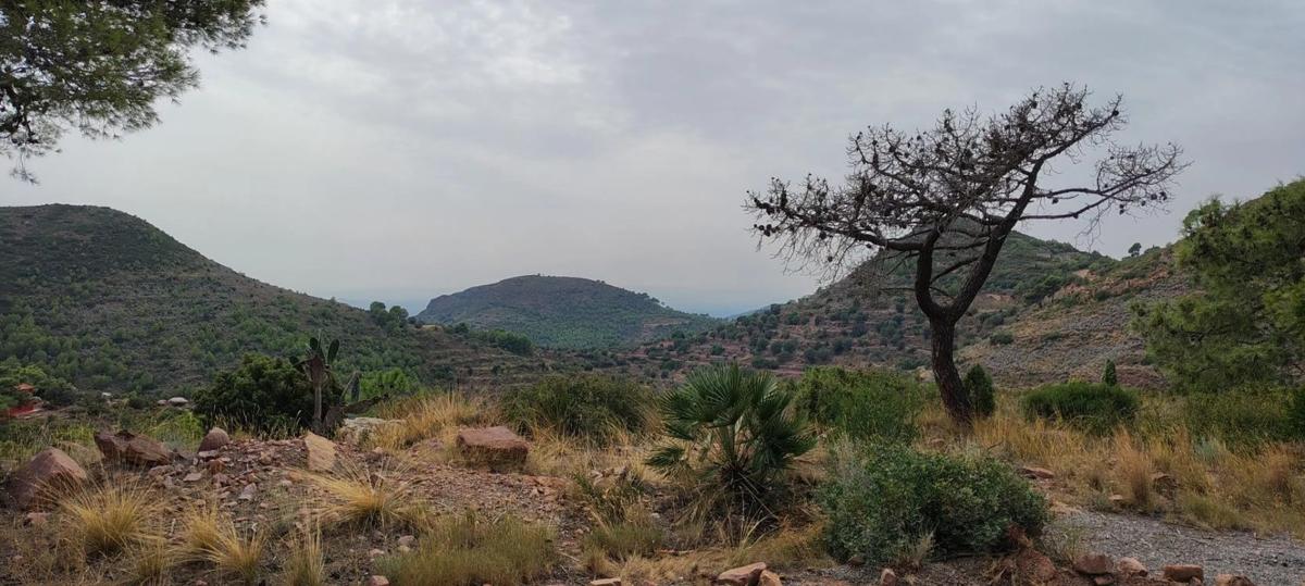 Land for sale in Segart, Valencia photo 3