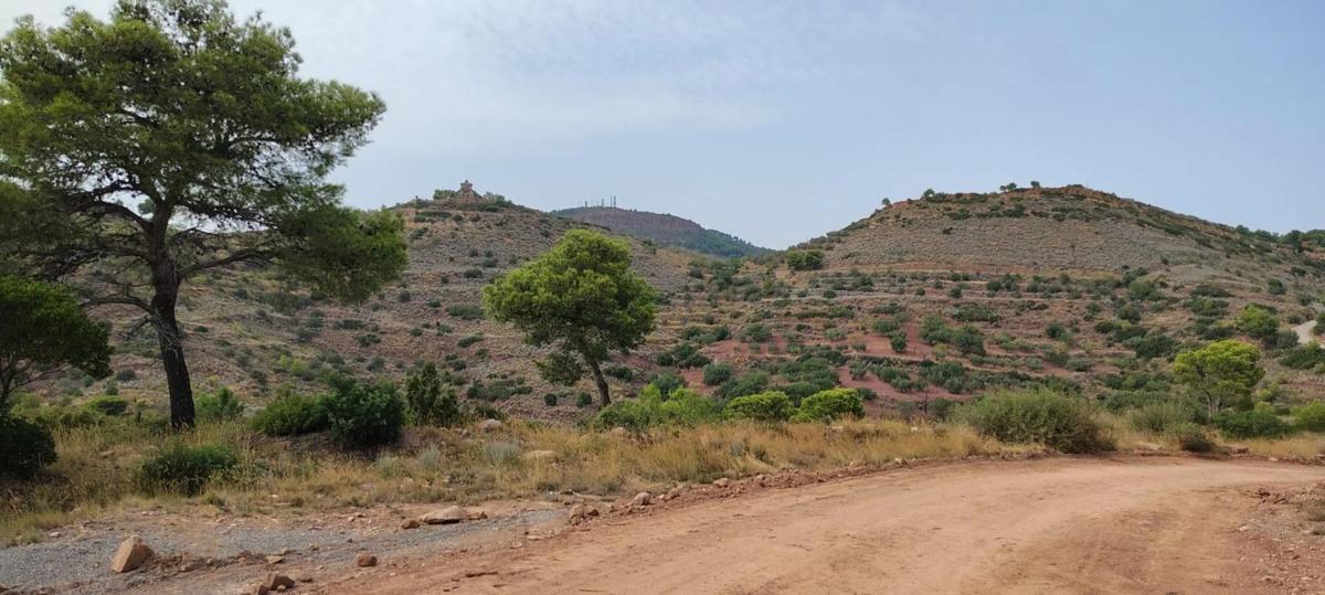 Land for sale in Segart, Valencia photo 4