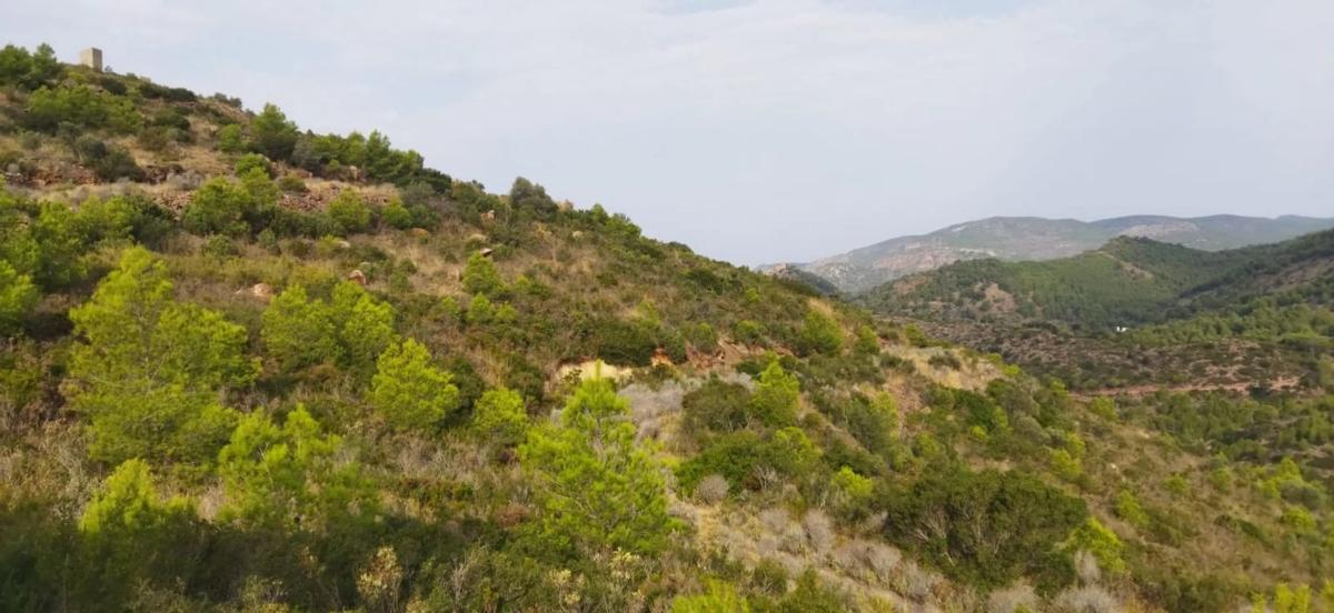 Terreno en venta en Segart, Valencia photo 1