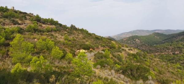 Terreno en Urbanización la Malla, 214 photo 1