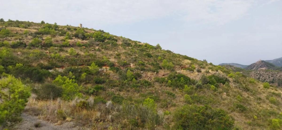 Terreno en venta en Segart, Valencia photo 3