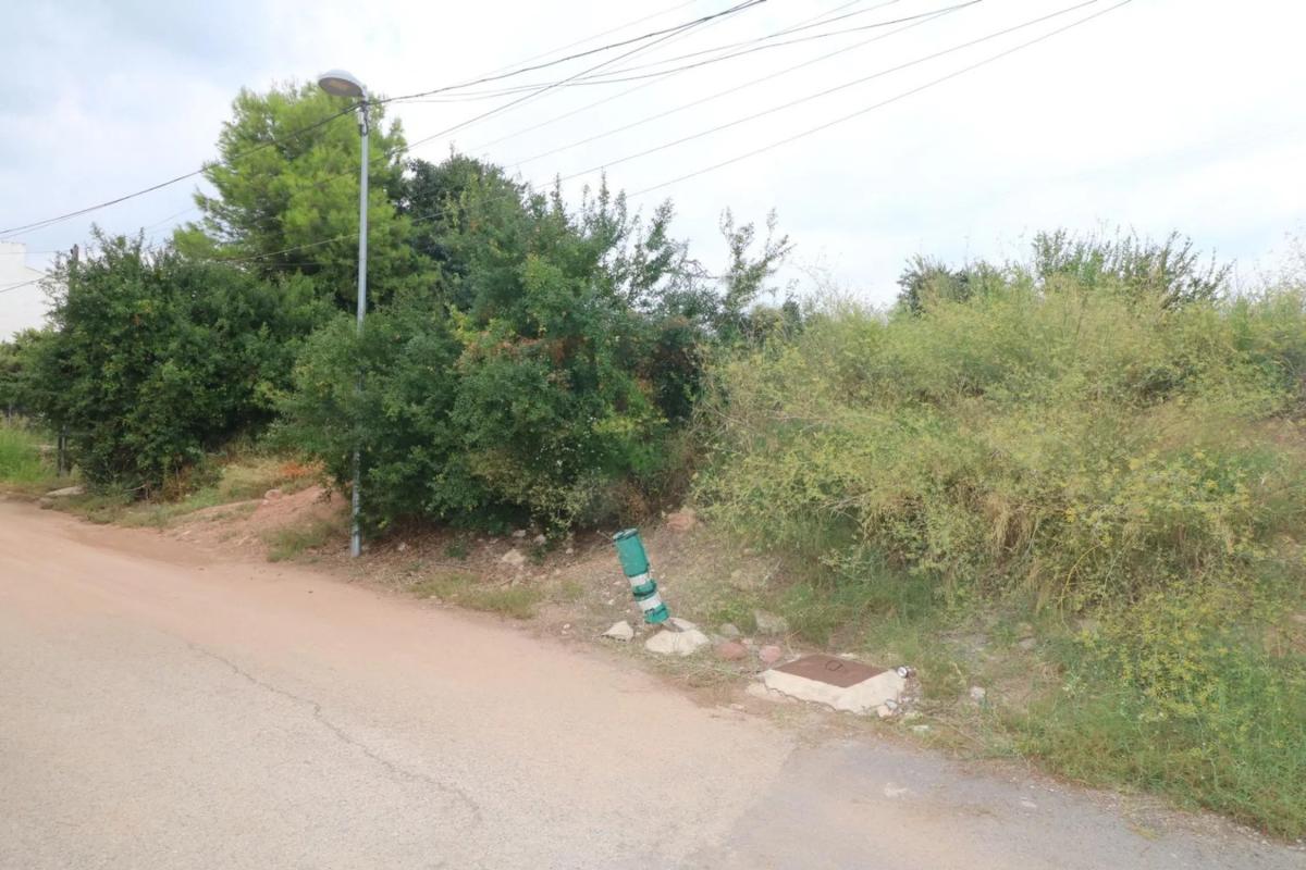 Land for sale in Albalat dels Tarongers, Valencia photo 2