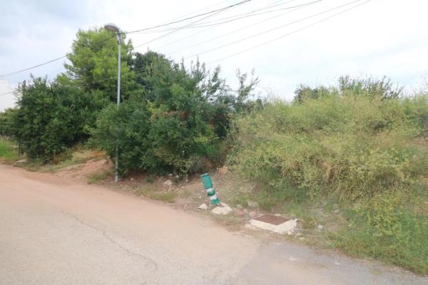 Terreno en Albalat Dels Tarongers photo 2