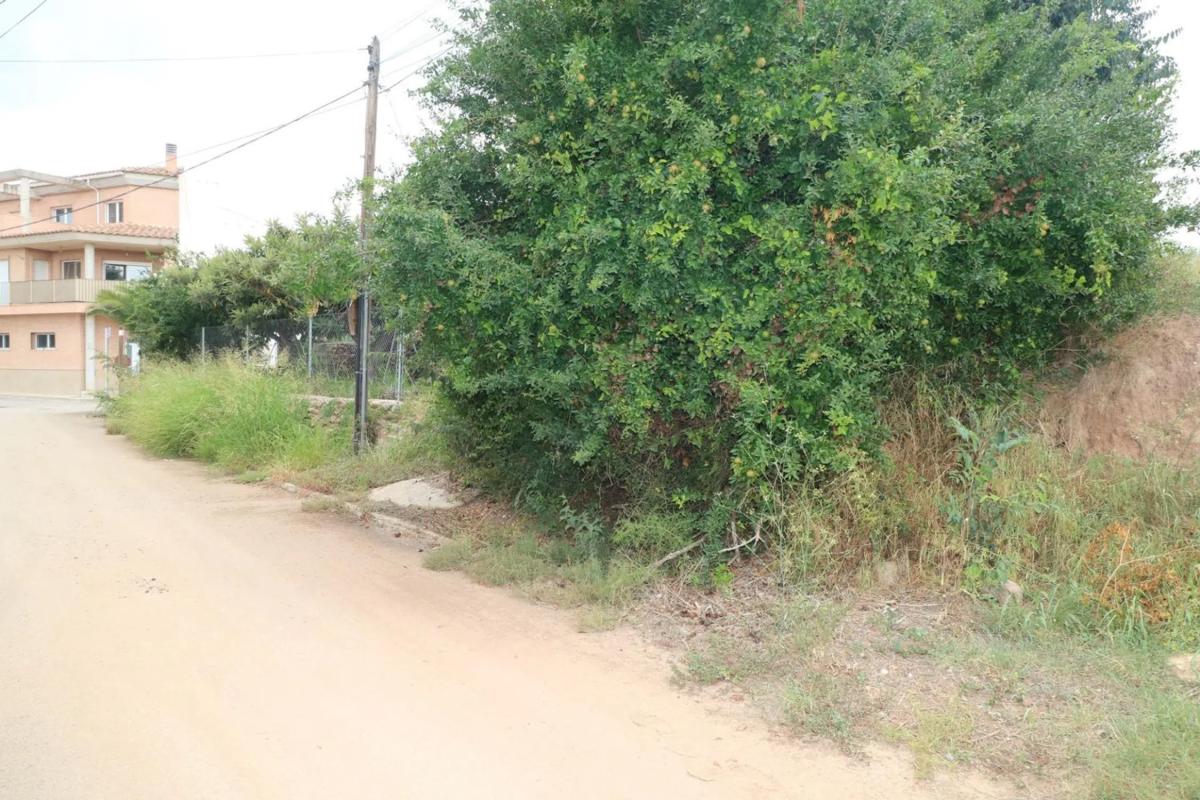 Land for sale in Albalat dels Tarongers, Valencia photo 3