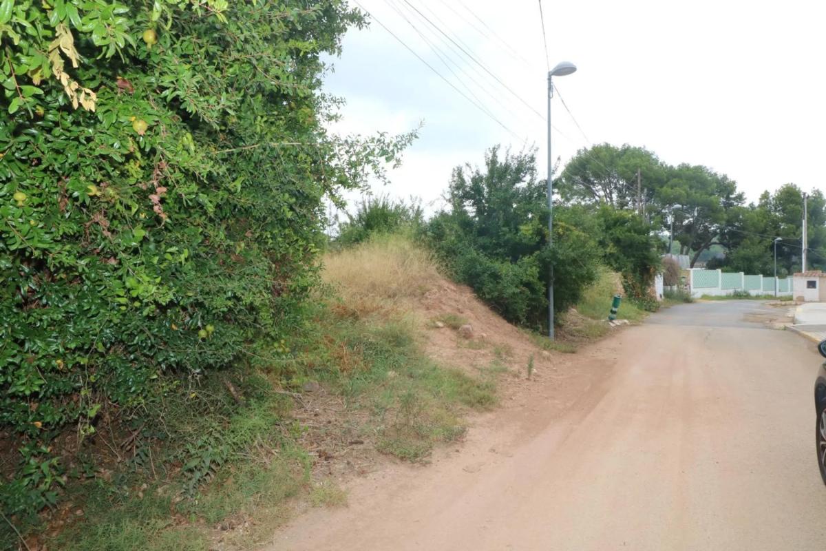 Land for sale in Albalat dels Tarongers, Valencia photo 4