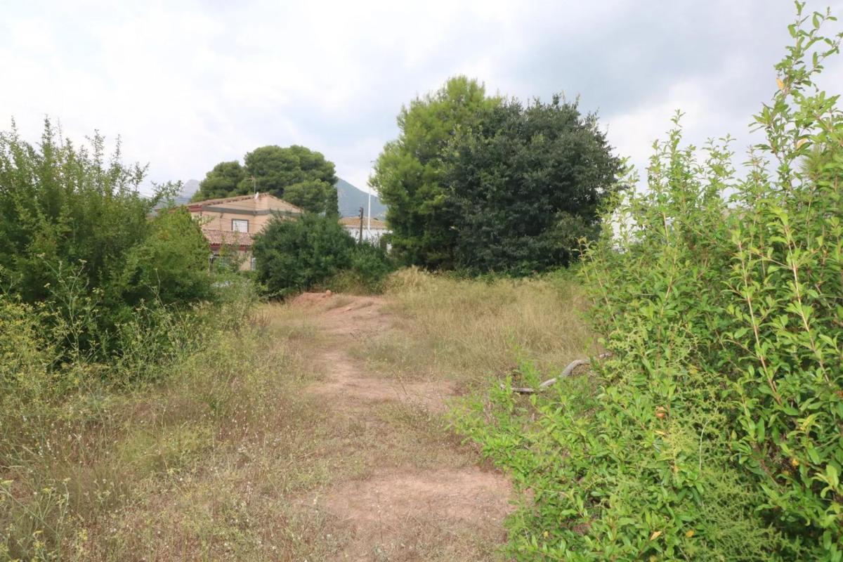 Land for sale in Albalat dels Tarongers, Valencia photo 5