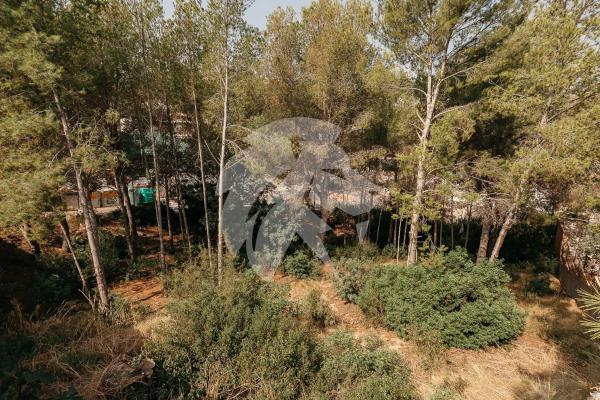 Terreno en Gilet photo 4