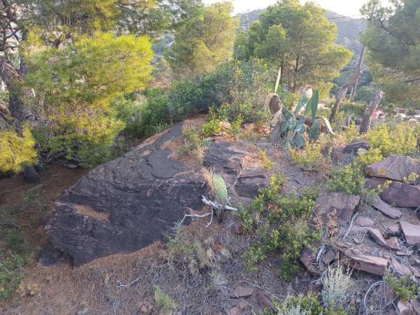 Terreno en Los Monasterios - El Picayo - Urbanizaciones photo 4