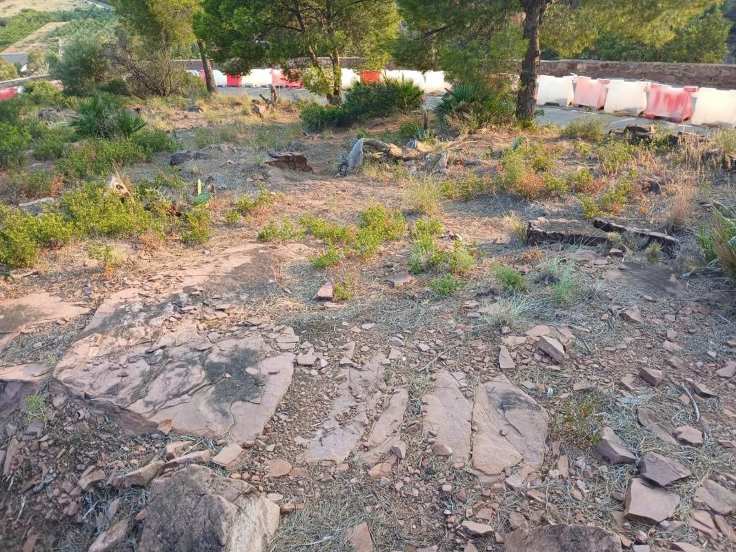 Land for sale in Sagunto, Valencia photo 5