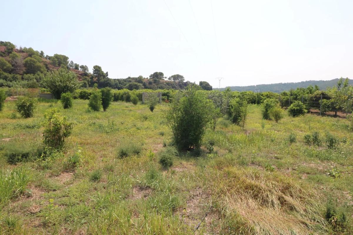 Land for sale in Petrés, Valencia photo 1