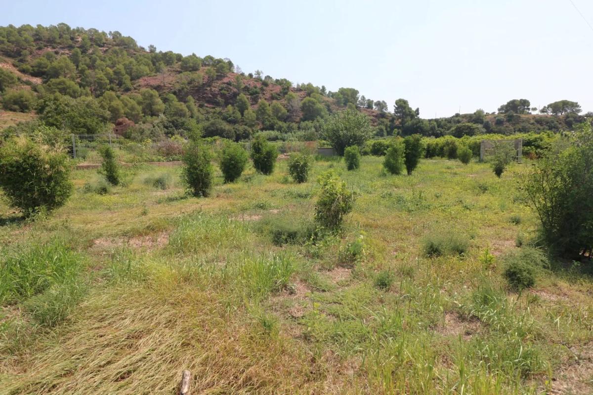 Land for sale in Petrés, Valencia photo 2
