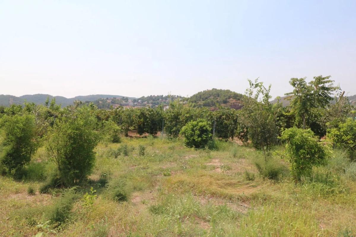 Land for sale in Petrés, Valencia photo 3