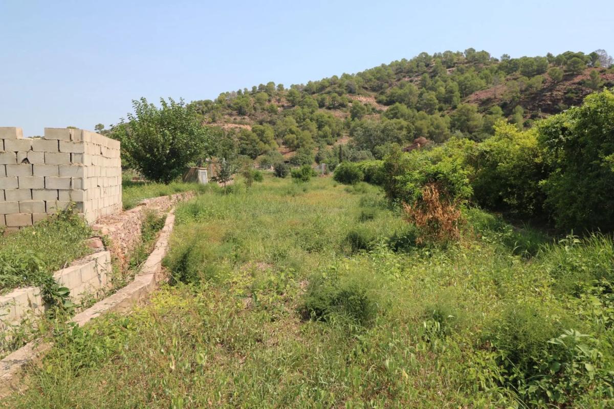 Land for sale in Petrés, Valencia photo 4