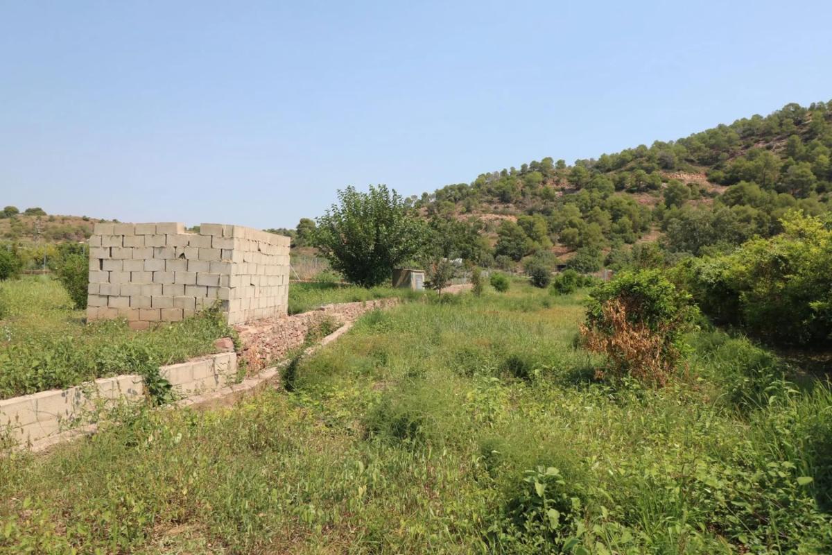Land for sale in Petrés, Valencia photo 5