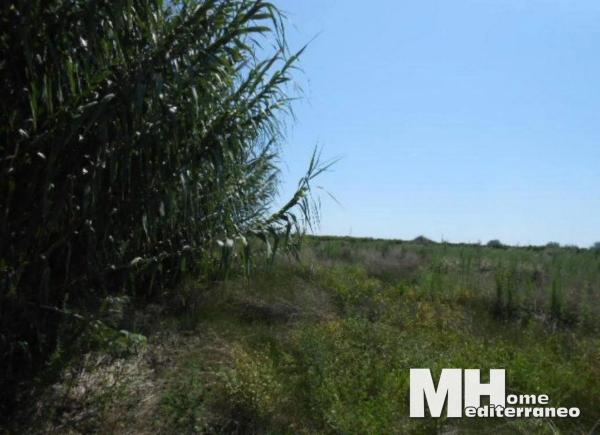 Terreno en Doctor Palos - Alto Palancia photo 3