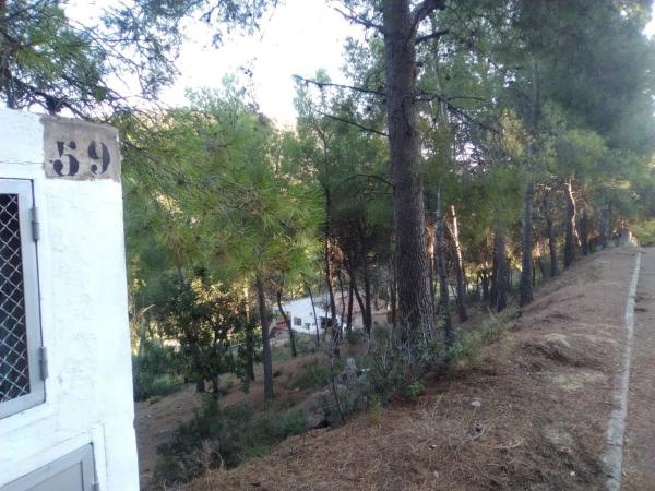 Terreno en Torres-Torres photo 1