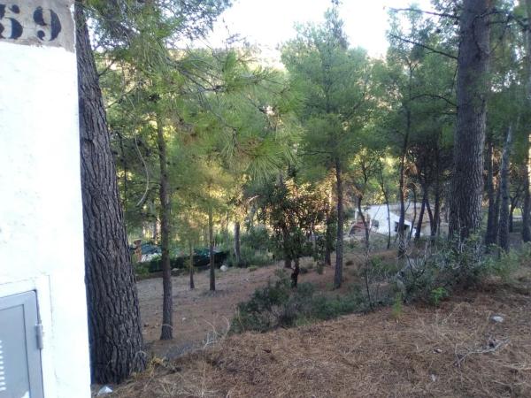 Terreno en Torres-Torres photo 2