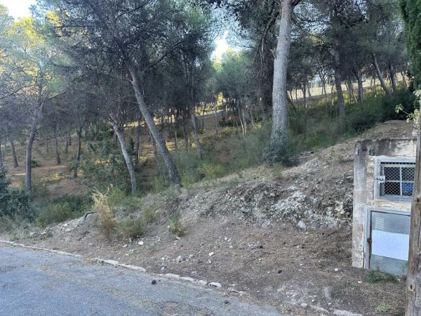 Terreno en Torres-Torres photo 2