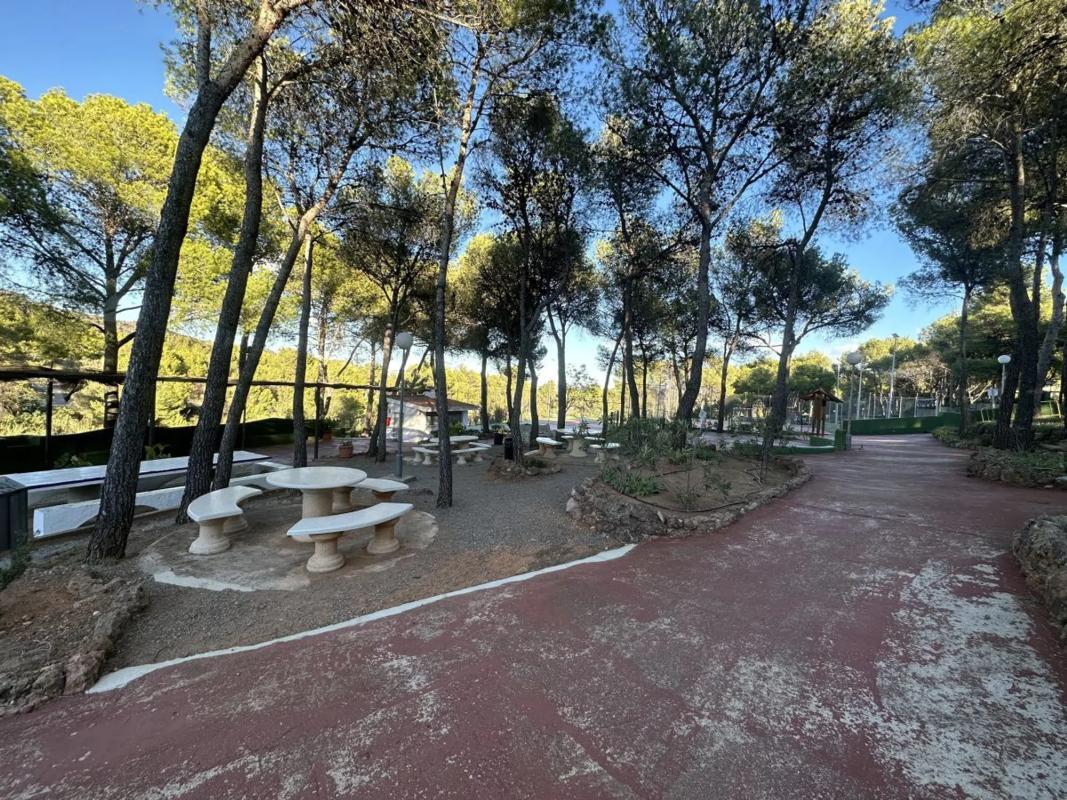 Land for sale in Torres-Torres, Valencia photo 3