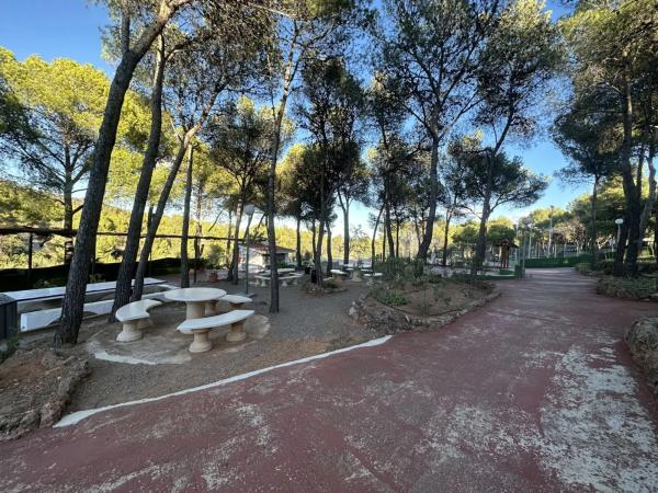 Terreno en Torres-Torres photo 3