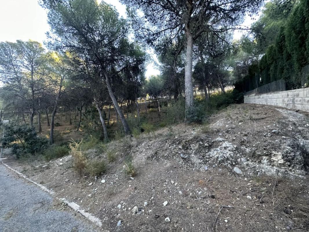 Land for sale in Torres-Torres, Valencia photo 5