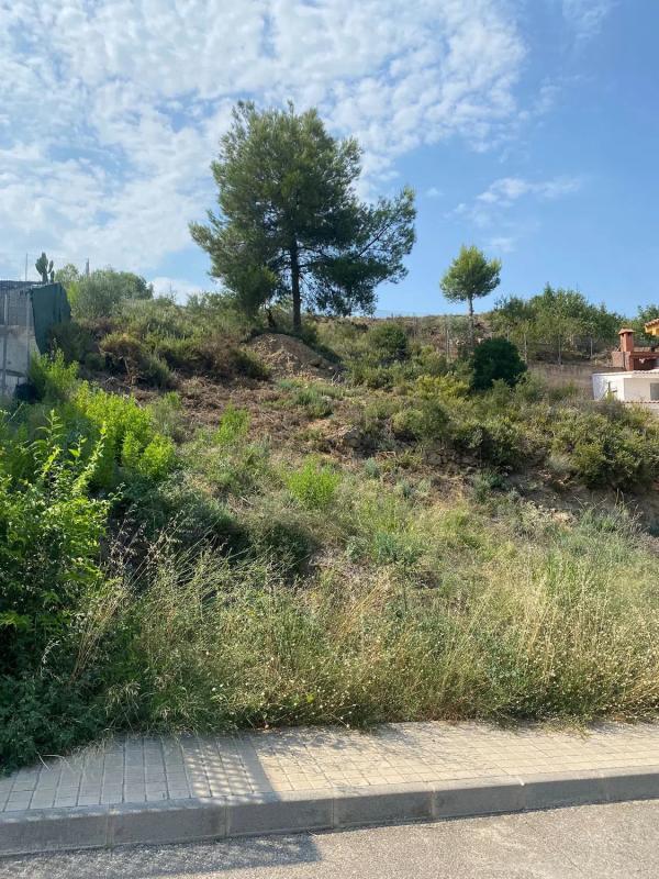 Land for sale in Torres-Torres, Valencia photo 2