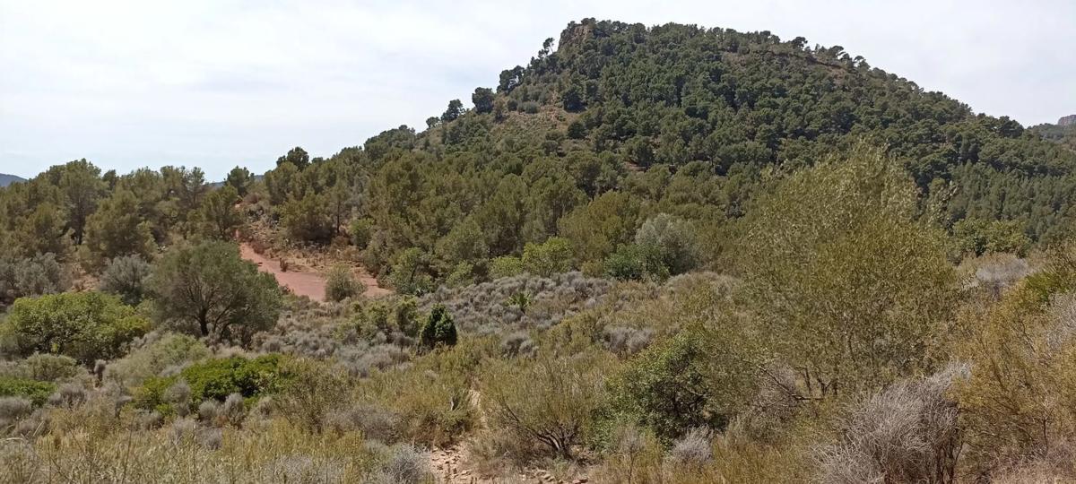 Terreno en venta en Albalat Dels Taronchers, Valencia photo 3