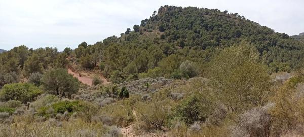 Terreno en montaña redona, 2 photo 3