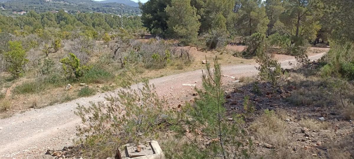 Terreno en venta en Albalat Dels Taronchers, Valencia photo 4