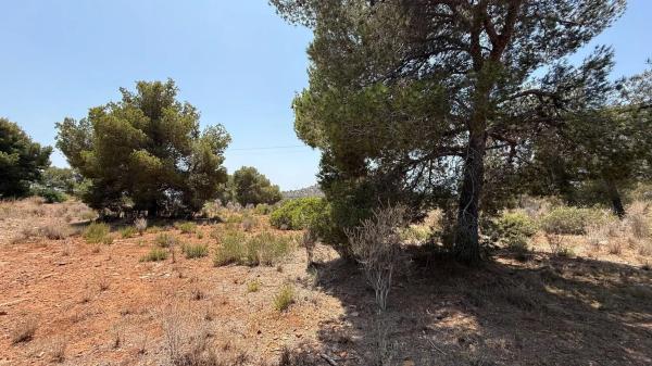 Terreno en plaza del Cronista Chabret photo 1