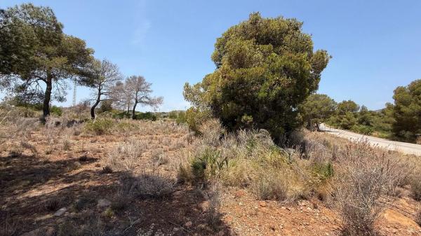 Terreno en plaza del Cronista Chabret photo 3