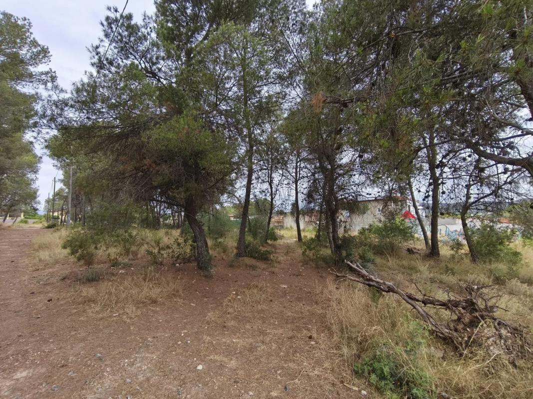 Участок земли на продажу в Сагунто, Валенсия photo 5
