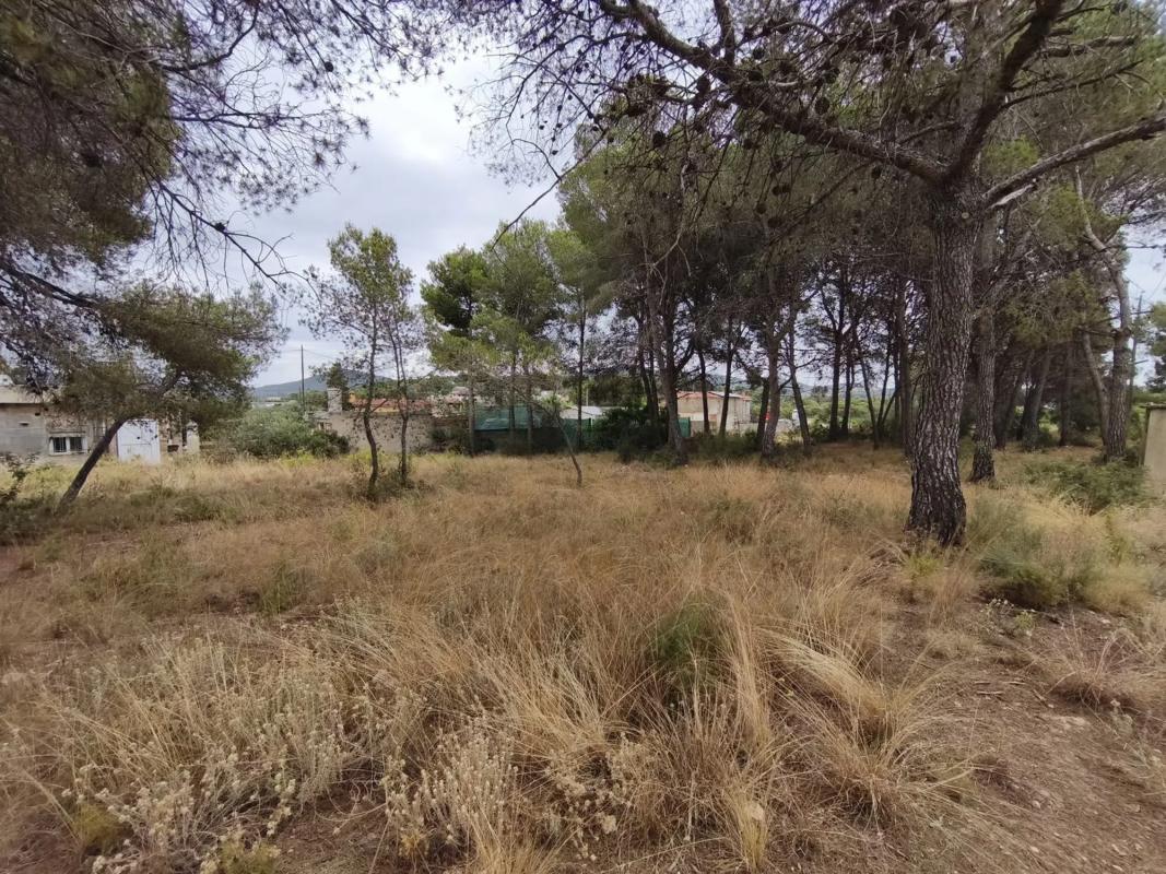 Terreno en venta en Sagunto/Sagunt, Valencia photo 3