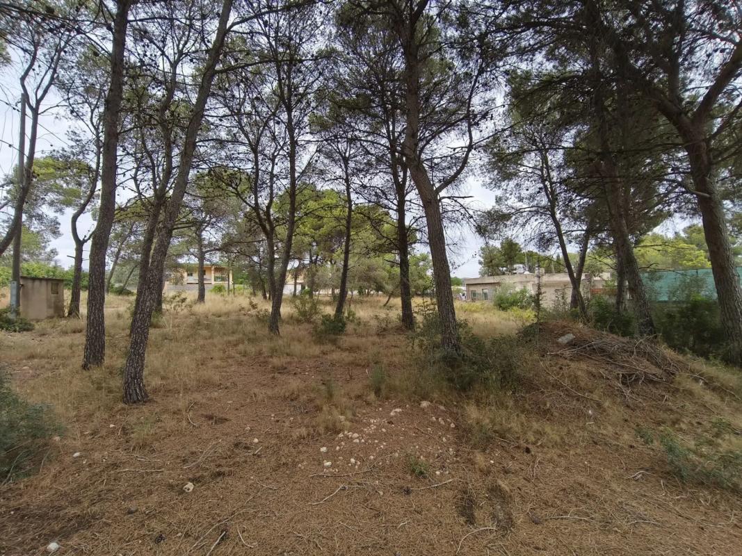 Terreno en venta en Sagunto/Sagunt, Valencia photo 4