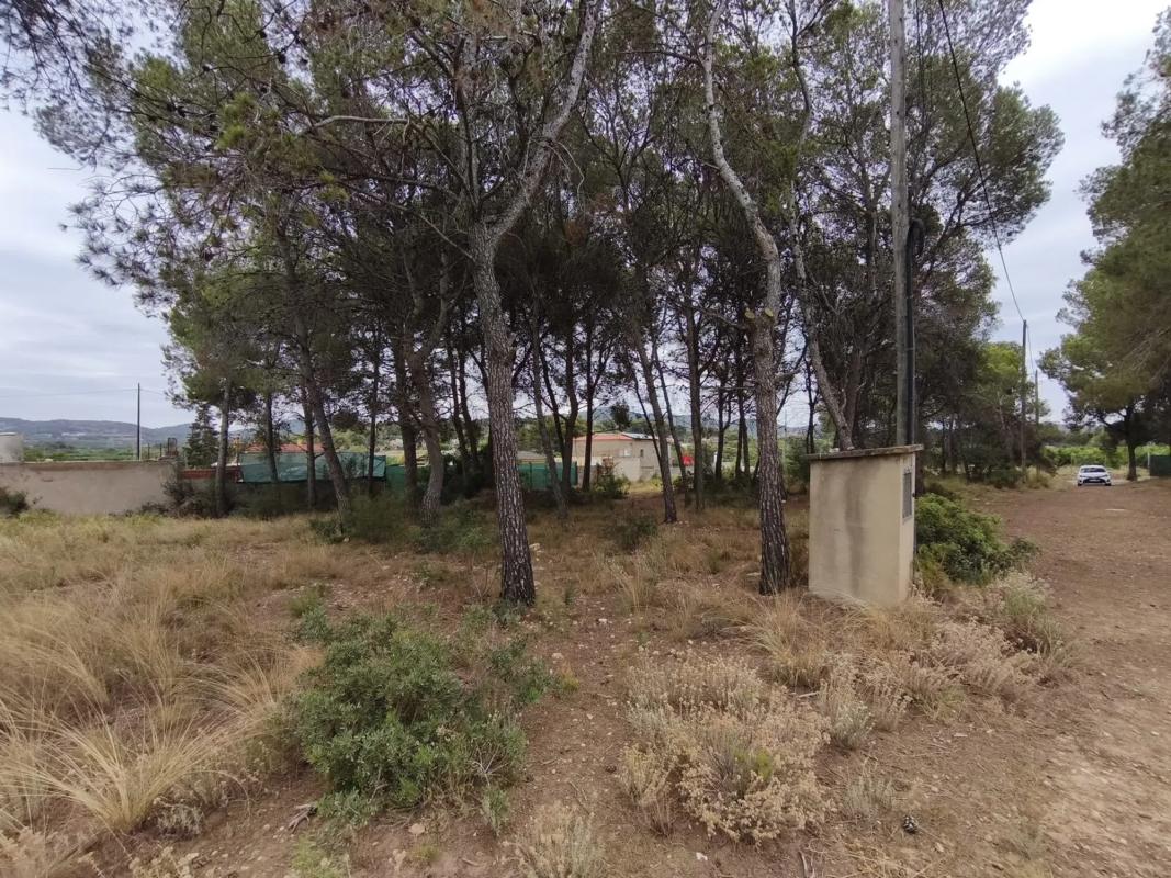 Terreno en venta en Sagunto/Sagunt, Valencia photo 5