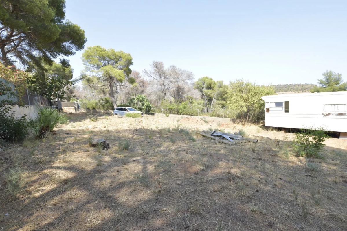 Terreno en venta en Albalat Dels Taronchers, Valencia photo 4