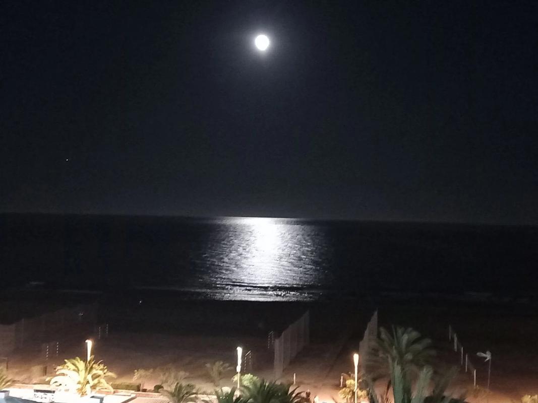 Terreno en venta en Puerto de Sagunto, Valencia photo 4