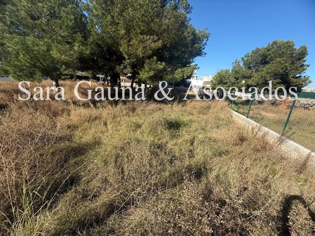 Terreno en venta en Sagunto/Sagunt, Valencia photo 3