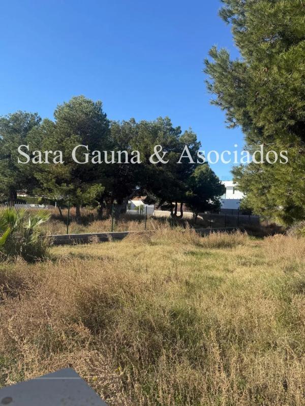 Terreno en venta en Sagunto/Sagunt, Valencia photo 5
