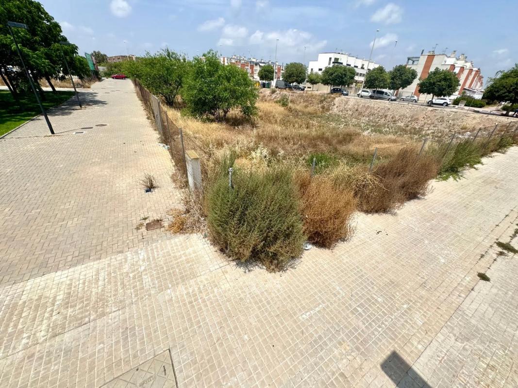 Terreno en venta en Puerto de Sagunto, Valencia photo 5