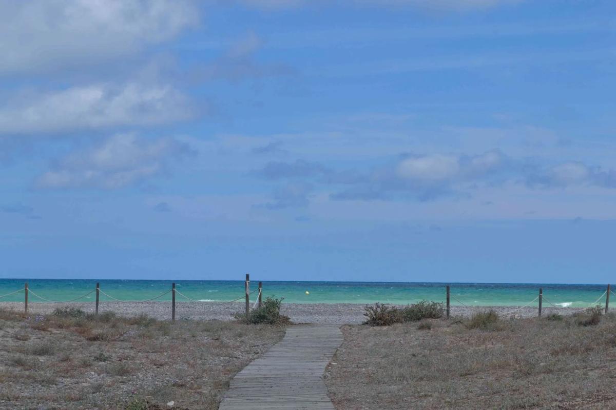 Land for sale in Sagunto, Valencia photo 3
