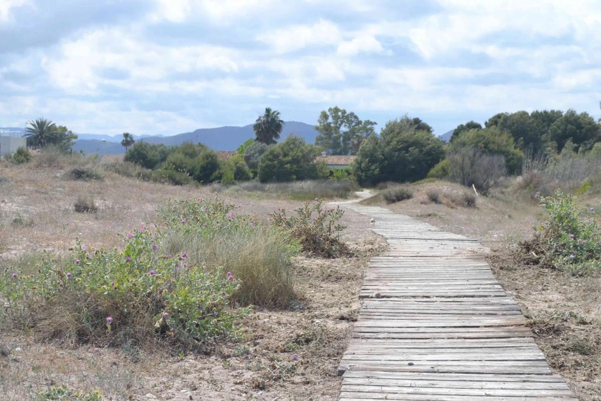 Land for sale in Sagunto, Valencia photo 4