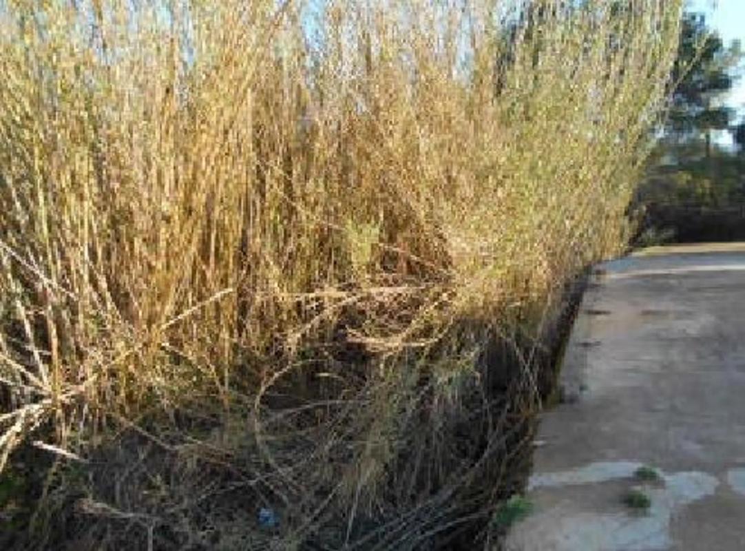 Участок земли на продажу в Торрес-Торрес, Валенсия photo 5