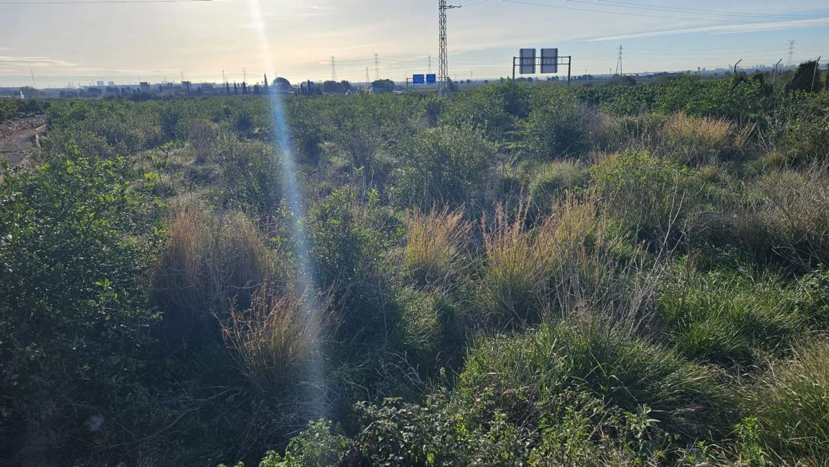 Terreno en venta en Sagunto/Sagunt, Valencia photo 3