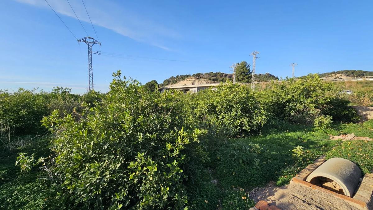 Terreno en venta en Sagunto/Sagunt, Valencia photo 5