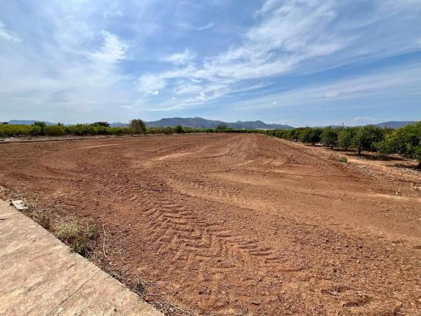 Terreno en via Sense Nom photo