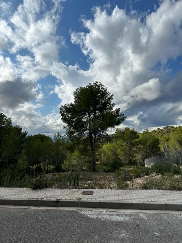Terreno en venta en Albalat Dels Taronchers, Valencia photo 2