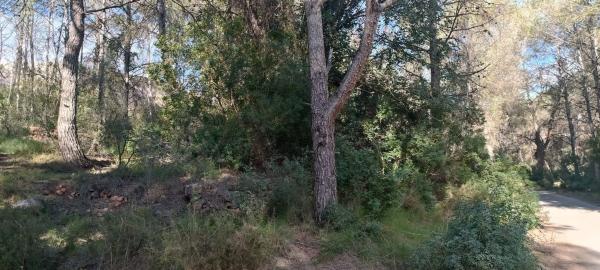 Terreno en plaza Poligono 3, 51 photo 1