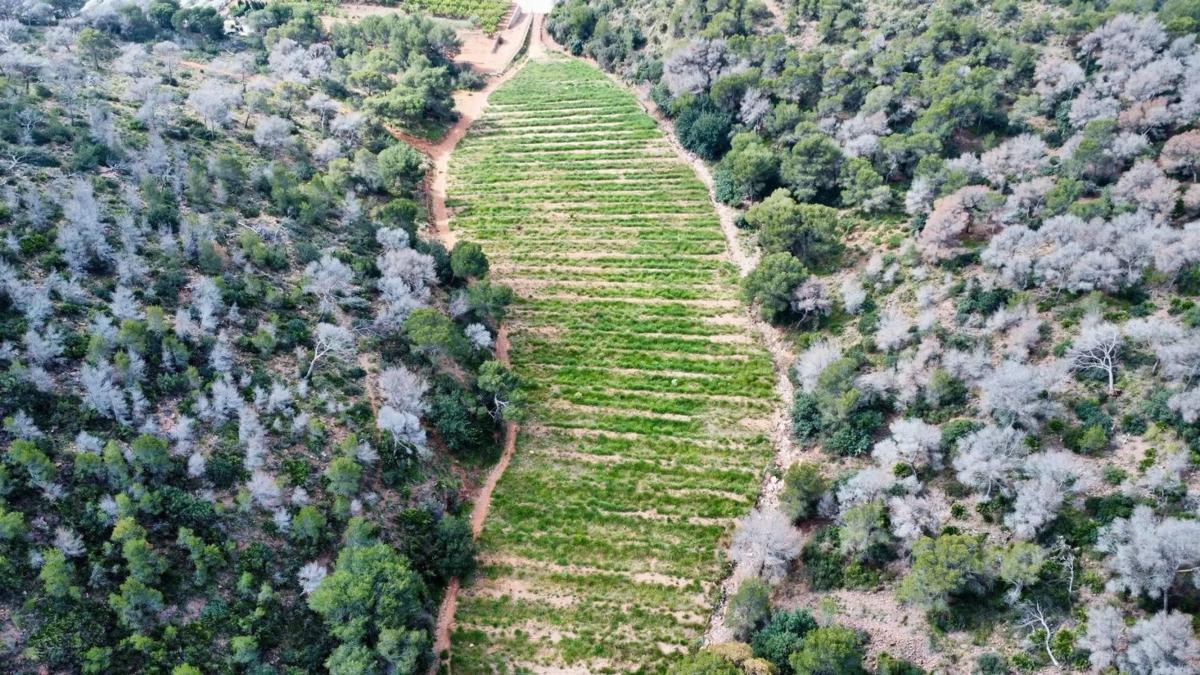 Terreno en venta en Sagunto/Sagunt, Valencia photo 1