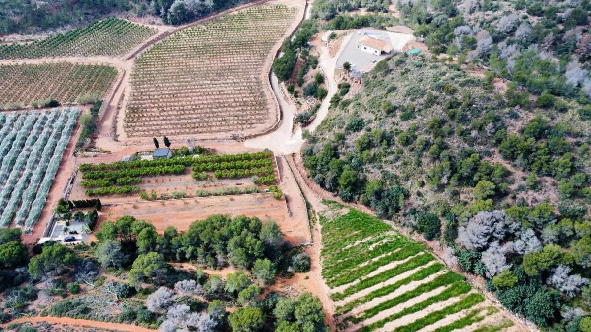 Terreno en venta en Sagunto/Sagunt, Valencia photo 4